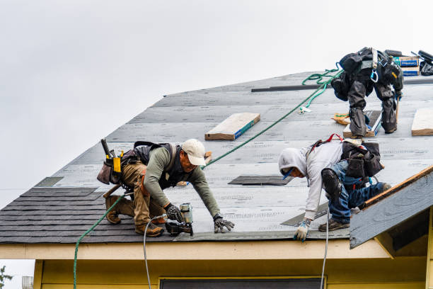 Professional Roof Repair technician working in Tappan, NY